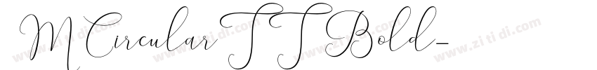 3MCircularTT Bold字体转换